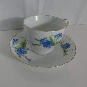 Vintage Tea Cup and Saucer CHINA993 Gold Rimmed Blue Iris Print